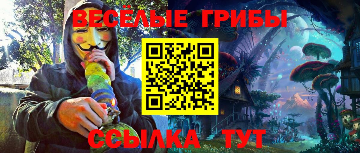 Галлюциногенные грибы прущие грибы  Вход с VPN  Коммунар  Псилоцибиновые грибы прущие грибы 