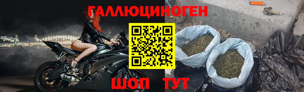 Псилоцибиновые грибы прущие грибы Коммунар